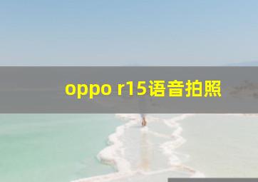 oppo r15语音拍照